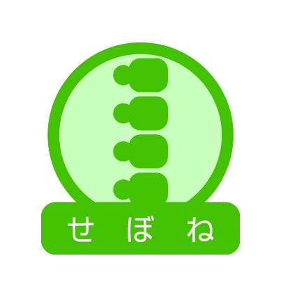 spine_img2
